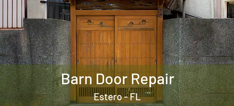  Barn Door Repair Estero - FL