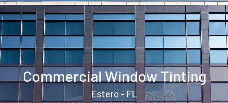  Commercial Window Tinting Estero - FL