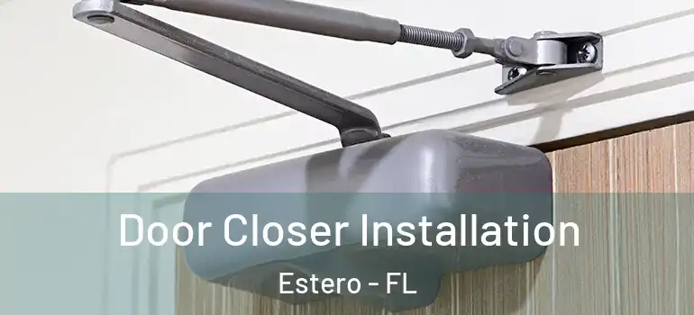  Door Closer Installation Estero - FL