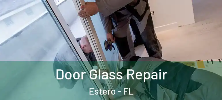  Door Glass Repair Estero - FL
