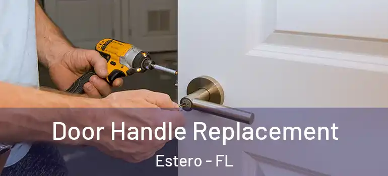  Door Handle Replacement Estero - FL