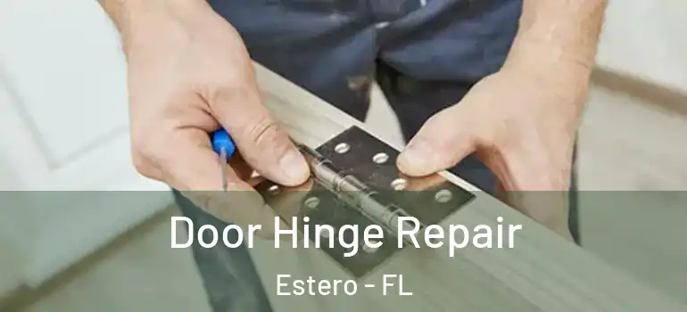  Door Hinge Repair Estero - FL