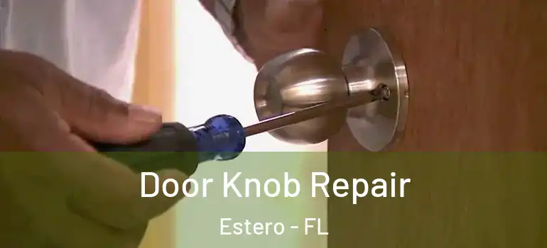  Door Knob Repair Estero - FL