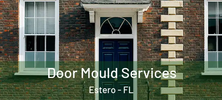  Door Mould Services Estero - FL