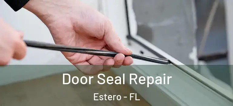  Door Seal Repair Estero - FL