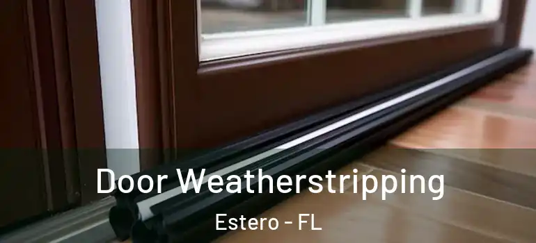  Door Weatherstripping Estero - FL