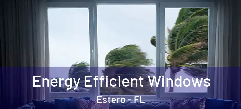  Energy Efficient Windows Estero - FL