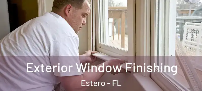  Exterior Window Finishing Estero - FL