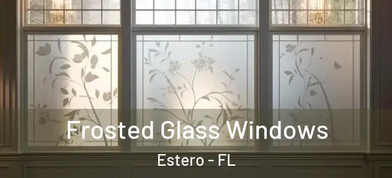 Frosted Glass Windows Estero - FL