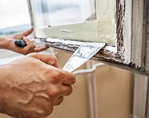 Professional Door and Windows Installation in Estero, FL