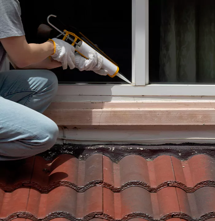 Roof Window Services in Estero, Florida