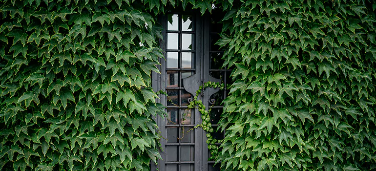 Garden Gate Repair in Estero, FL
