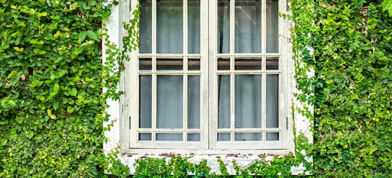 Garden Window Repair Near Me in Estero, FL