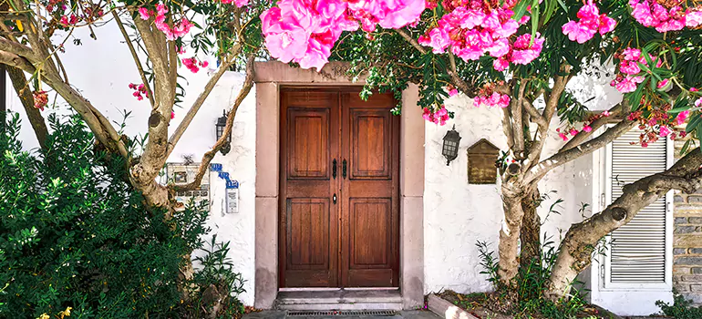 Traditional 4 Panel Internal Doors in Estero, FL