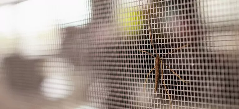 Repair Mosquito Mesh For Windows in Estero, FL