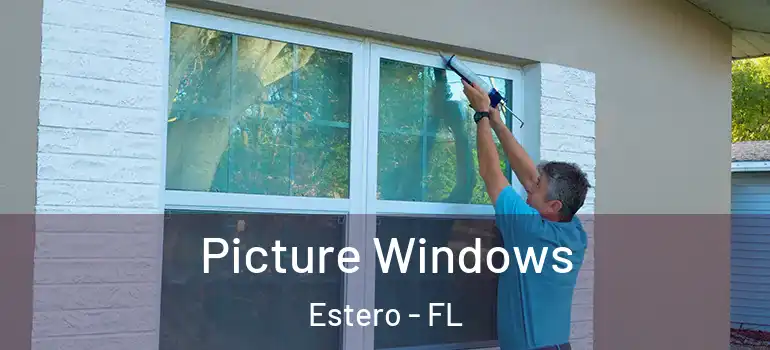  Picture Windows Estero - FL