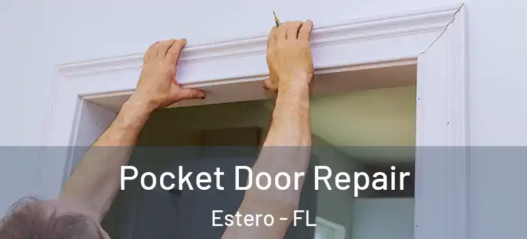  Pocket Door Repair Estero - FL