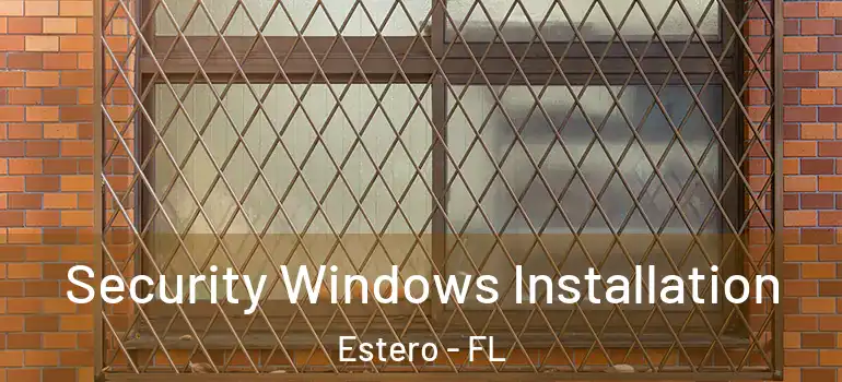  Security Windows Installation Estero - FL