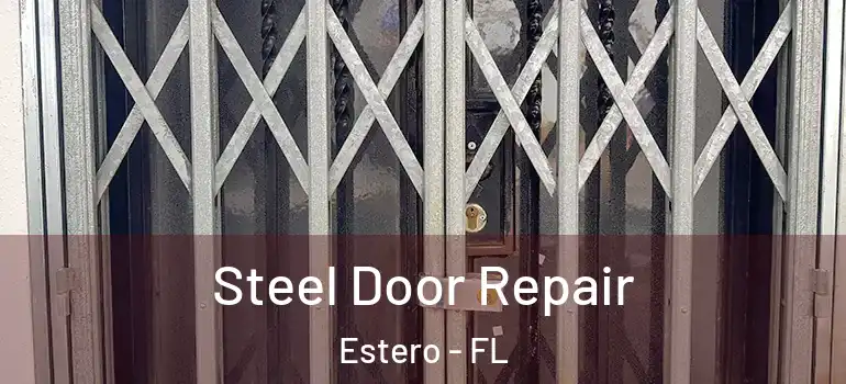  Steel Door Repair Estero - FL