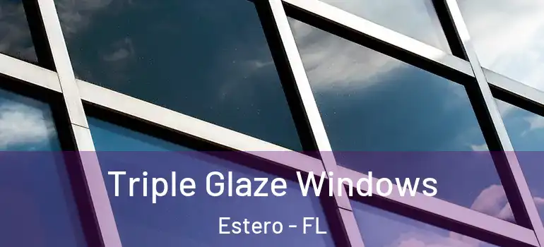  Triple Glaze Windows Estero - FL