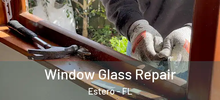  Window Glass Repair Estero - FL