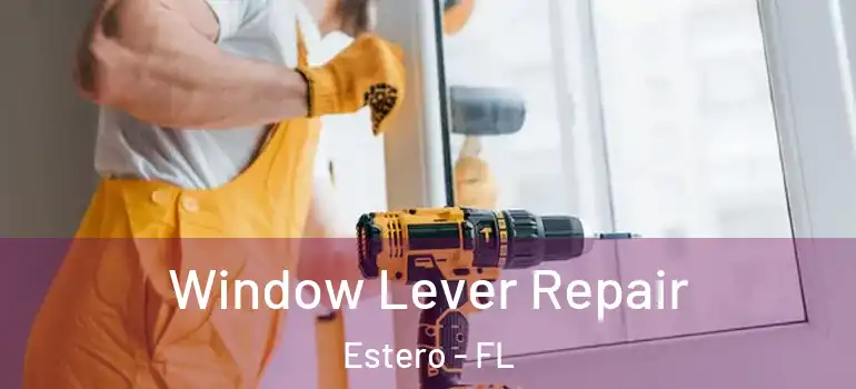  Window Lever Repair Estero - FL