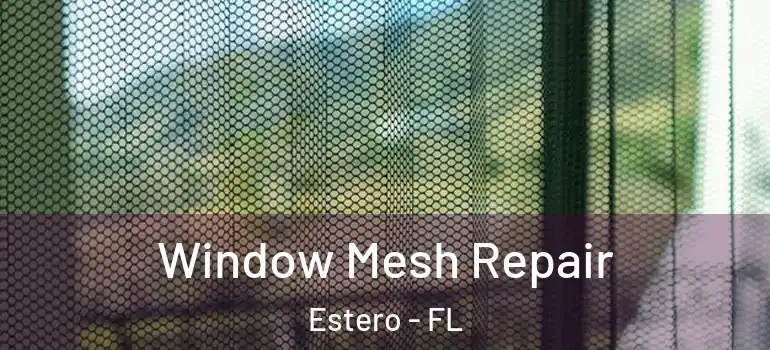  Window Mesh Repair Estero - FL
