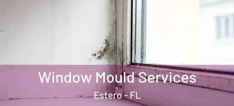  Window Mould Services Estero - FL