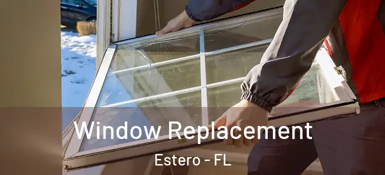  Window Replacement Estero - FL