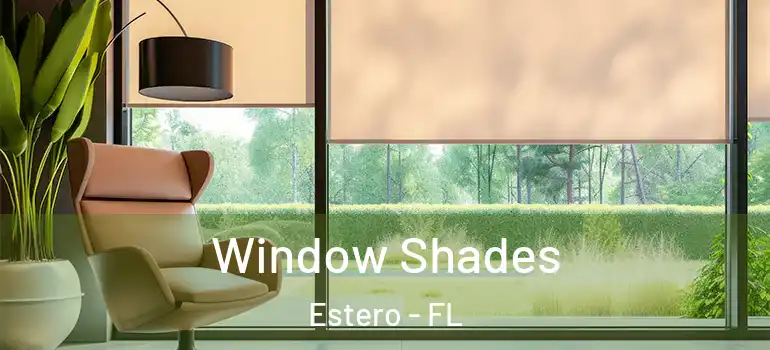  Window Shades Estero - FL
