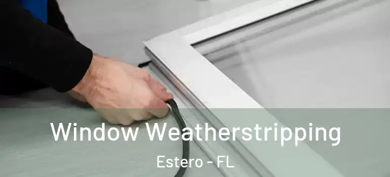  Window Weatherstripping Estero - FL