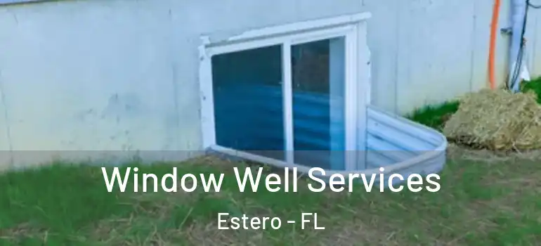  Window Well Services Estero - FL